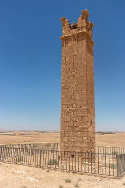 Ürdün 'deki Umm ar-Rasas sahasındaki Stylite (keşiş) kulesi