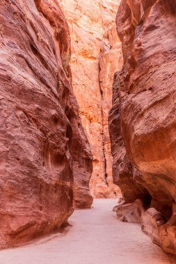 Siq geçidi, antik şehir Petra 'nın ana girişi, Ürdün