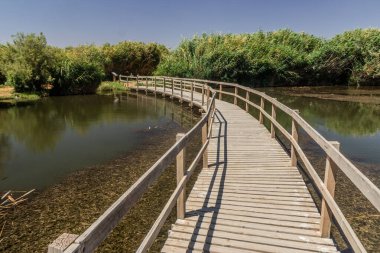 Azraq Wetlands Reserve, Ürdün 'deki sahil yolu.