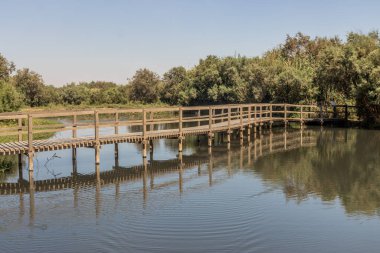 Azraq Wetlands Reserve, Ürdün 'deki sahil yolu.