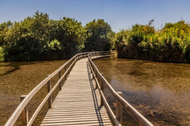 Azraq Wetlands Reserve, Ürdün 'deki sahil yolu.