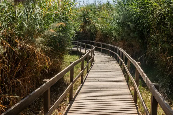 Azraq Wetlands Reserve, Ürdün 'deki sahil yolu.