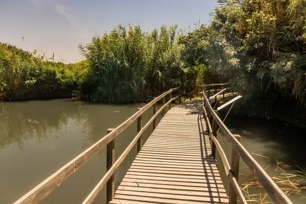 Ürdün 'deki Azraq Wetlands Reserve' de tahta kaldırım.