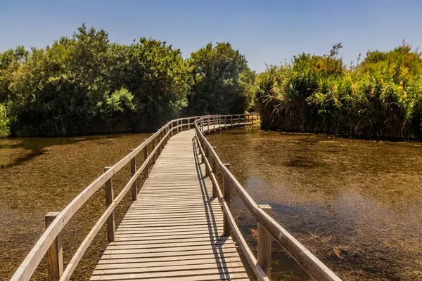Azraq Wetlands Reserve, Ürdün 'deki sahil yolu.