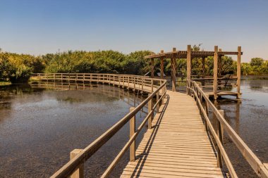 Azraq Wetlands Reserve, Ürdün 'deki sahil yolu.