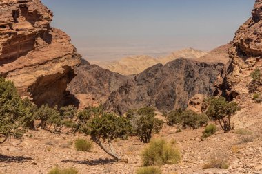 Antik şehrin manzarası Petra, Ürdün