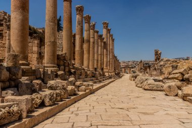 Jerash, Ürdün 'deki Colonnaded Caddesi (Cardo Maximus)