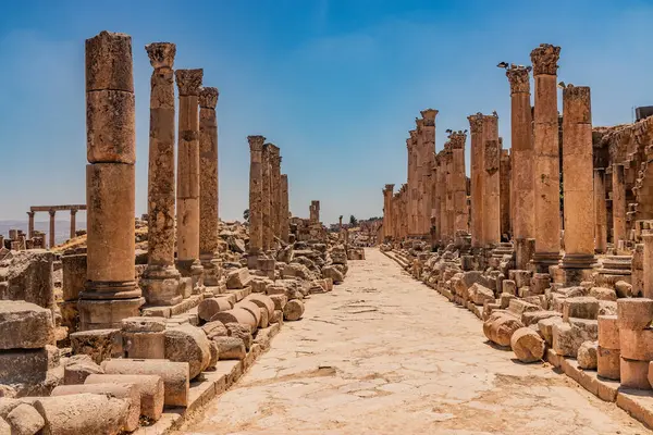 Jerash, Ürdün 'deki Colonnaded Caddesi (Cardo Maximus)