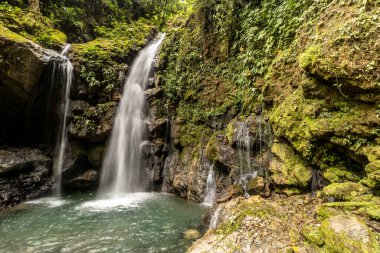 Catarata Gloriapata Şelalesi Tingo Maria Ulusal Parkı, Peru