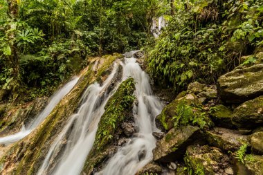 Catarata Honolulo Şelalesi Tingo Maria, Peru yakınlarında