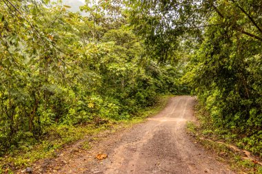 Pozuzo nehri vadisinde Codo de Pozuzo ve Pozuzo arasındaki asfaltsız 5NA yolu.