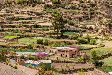 Tarma kasabası yakınlarındaki Chuchopampa köyünün kırsal arazisi, Peru