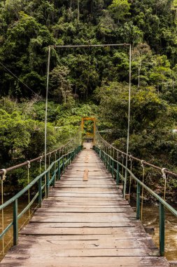 Catarata Gloriapata Şelalesi yakınlarındaki Huallaga nehri üzerinde asılı köprü Tingo Maria Ulusal Parkı, Peru