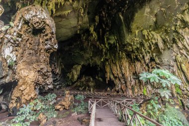 Peru 'nun Tingo Maria kasabası yakınlarındaki Cueva de las Lechuzas (Baykuş Mağarası)