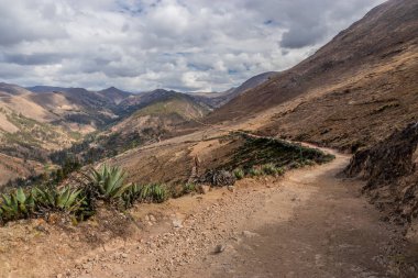 Tarma kasabası yakınlarındaki İnka yolu (Qhapaq Nan), Peru