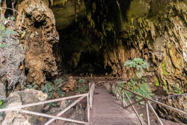 Tingo Maria kasabası yakınlarındaki Cueva de las Lechuzas 'ta (Baykuş Mağarası) sahil yolu, Peru
