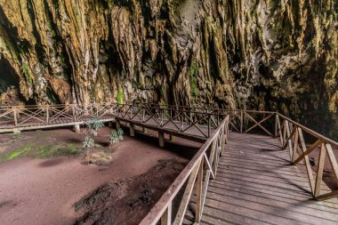 Tingo Maria kasabası yakınlarındaki Cueva de las Lechuzas 'ta (Baykuş Mağarası) sahil yolu, Peru