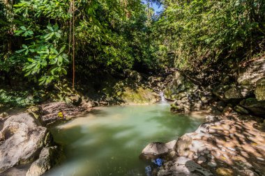 Tingo Maria, Peru yakınlarındaki Catarata Santa Carmen şelalesinin yanındaki derede.