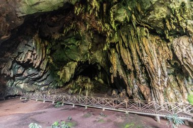 Peru 'nun Tingo Maria kasabası yakınlarındaki Cueva de las Lechuzas (Baykuş Mağarası)