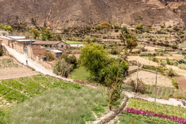 Tarma kasabası yakınlarındaki Chuchopampa köyünün kırsal arazisi, Peru
