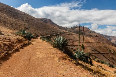 Tarma kasabası yakınlarındaki İnka yolu (Qhapaq Nan), Peru