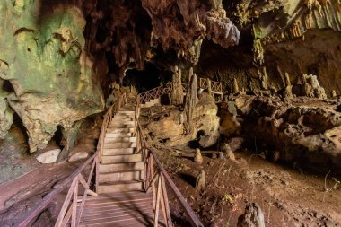 Tingo Maria kasabası yakınlarındaki Cueva de las Lechuzas 'ta (Baykuş Mağarası) sahil yolu, Peru