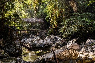 Catarata yakınlarındaki yaya köprüsü Santa Carmen şelalesi Tingo Maria, Peru yakınlarında.