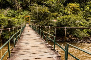 Catarata Gloriapata Şelalesi yakınlarındaki Huallaga nehri üzerinde asılı köprü Tingo Maria Ulusal Parkı, Peru