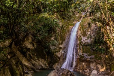 Catarata Santa Carmen Şelalesi Tingo Maria, Peru yakınlarında