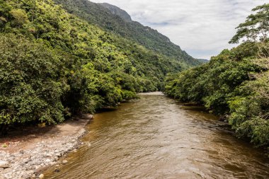 Tingo Maria kasabası yakınlarındaki Huallaga Nehri, Peru