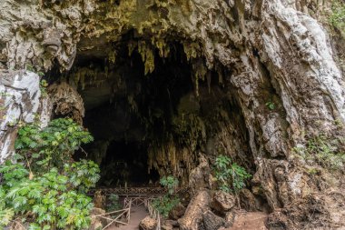 Tingo Maria kasabası yakınlarındaki Cueva de las Lechuzas 'a (Baykuş Mağarası) giden merdivenler, Peru