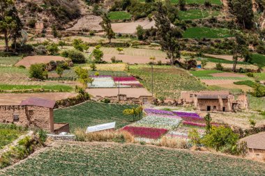 Tarma kasabası yakınlarındaki Chuchopampa köyünün kırsal arazisi, Peru