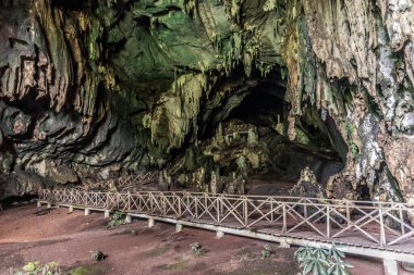 Tingo Maria kasabası yakınlarındaki Cueva de las Lechuzas 'ta (Baykuş Mağarası) sahil yolu, Peru