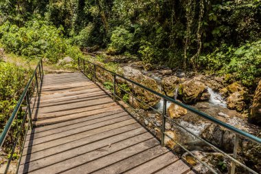 Tingo Maria Ulusal Parkı, Peru 'daki Catarata Gloriapata şelalesine giden yol üzerindeki köprü.