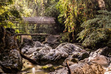 Catarata yakınlarındaki yaya köprüsü Santa Carmen şelalesi Tingo Maria, Peru yakınlarında.
