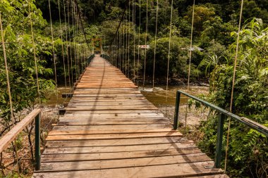 Catarata Gloriapata Şelalesi yakınlarındaki Huallaga nehri üzerinde asılı köprü Tingo Maria Ulusal Parkı, Peru