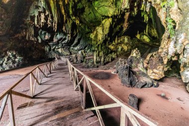Tingo Maria kasabası yakınlarındaki Cueva de las Lechuzas 'ta (Baykuş Mağarası) sahil yolu, Peru