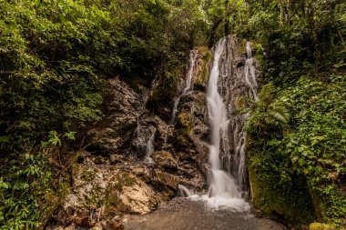 Catarata Honolulo Şelalesi Tingo Maria, Peru yakınlarında