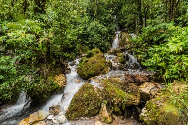 Catarata Honolulo Şelalesi Tingo Maria, Peru yakınlarında