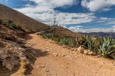 Tarma kasabası yakınlarındaki İnka yolu (Qhapaq Nan), Peru