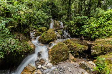 Catarata Honolulo Şelalesi Tingo Maria, Peru yakınlarında