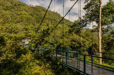 Tingo Maria, Peru yakınlarındaki Catarata Honolulo şelalesi yakınlarındaki Huallaga nehri üzerinde asılı köprü.