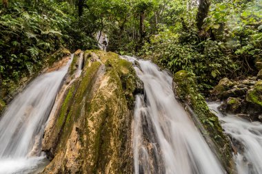 Catarata Honolulo Şelalesi Tingo Maria, Peru yakınlarında