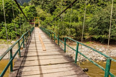 Catarata Gloriapata Şelalesi yakınlarındaki Huallaga nehri üzerinde asılı köprü Tingo Maria Ulusal Parkı, Peru