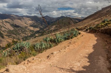 Tarma kasabası yakınlarındaki İnka yolu (Qhapaq Nan), Peru