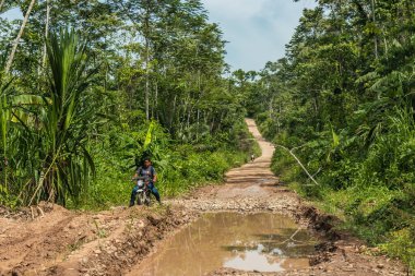 Santa Rosa de YANAYACU, Peru - 20 Kasım 2022: Huanuco bölgesinde, Santa Rosa de Yanayacu köyü yakınlarındaki Amazon ormanında asfaltsız yol