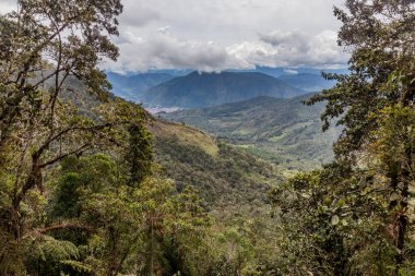 Yanachaga Chemillen Ulusal Parkı 'ndan Oxapampa kasabası manzarası, Peru