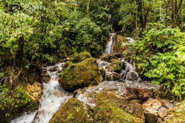 Catarata Honolulo Şelalesi Tingo Maria, Peru yakınlarında