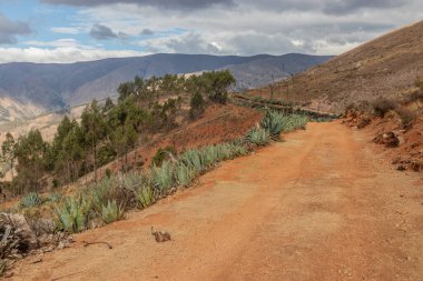 Tarma kasabası yakınlarındaki İnka yolu (Qhapaq Nan), Peru