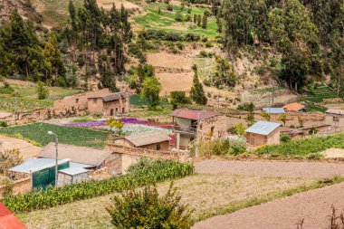Tarma kasabası yakınlarındaki Chuchopampa köyünün kırsal arazisi, Peru